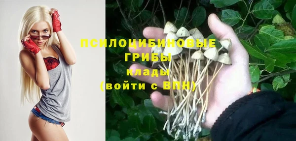 МДПВ Алзамай