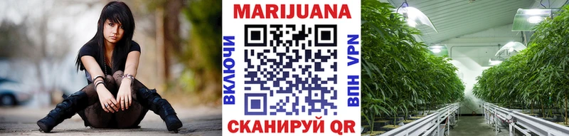 Бошки Шишки марихуана  Кондопога 
